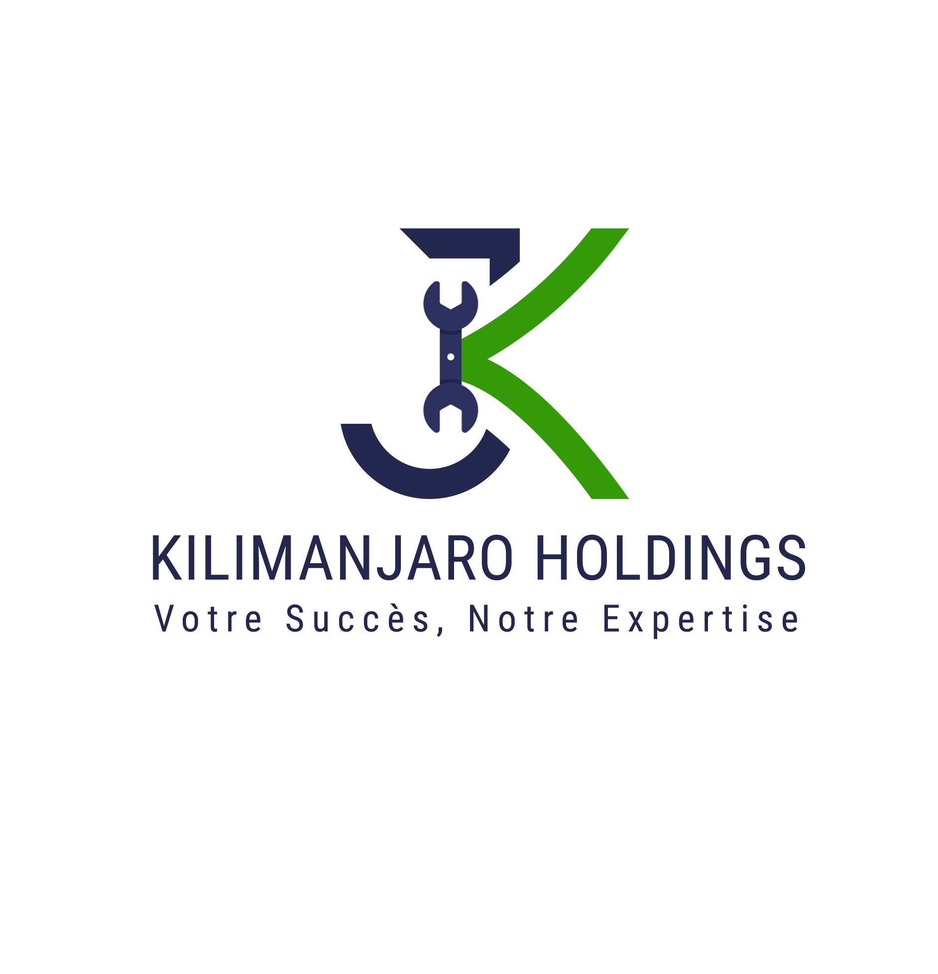 kilimanjarosarlu.com